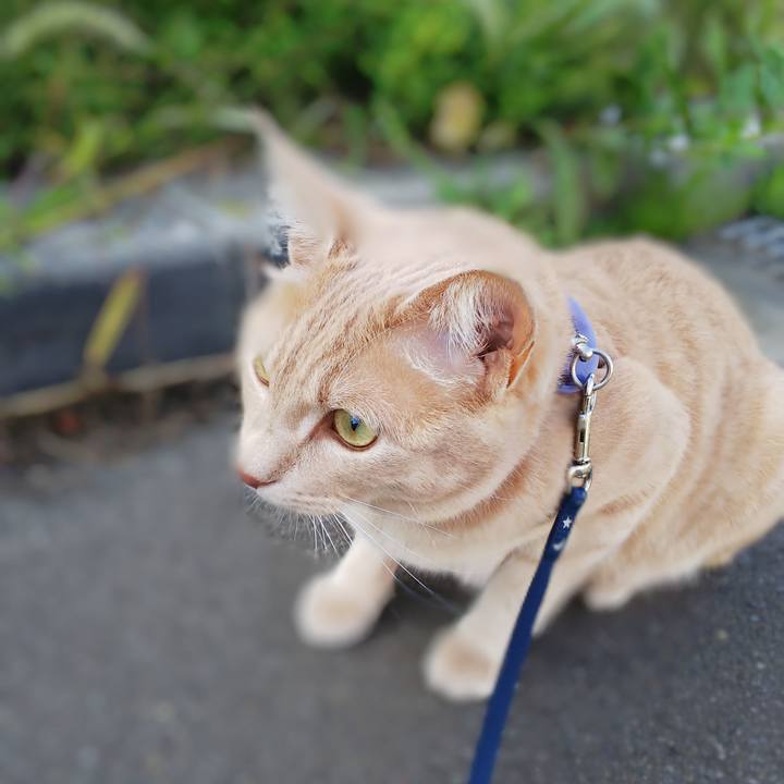 3bce312e 3cb1 4220 a36a 6828d46b89ff 1567727318294