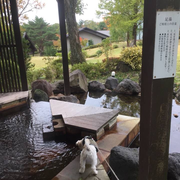 3bce3282 13b2 46cf 985a 04b663c01157 1509537176098