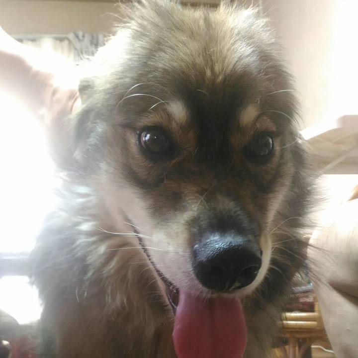 3bce32f8 f70d 4393 a18c ac816824d4c1 1532847187139