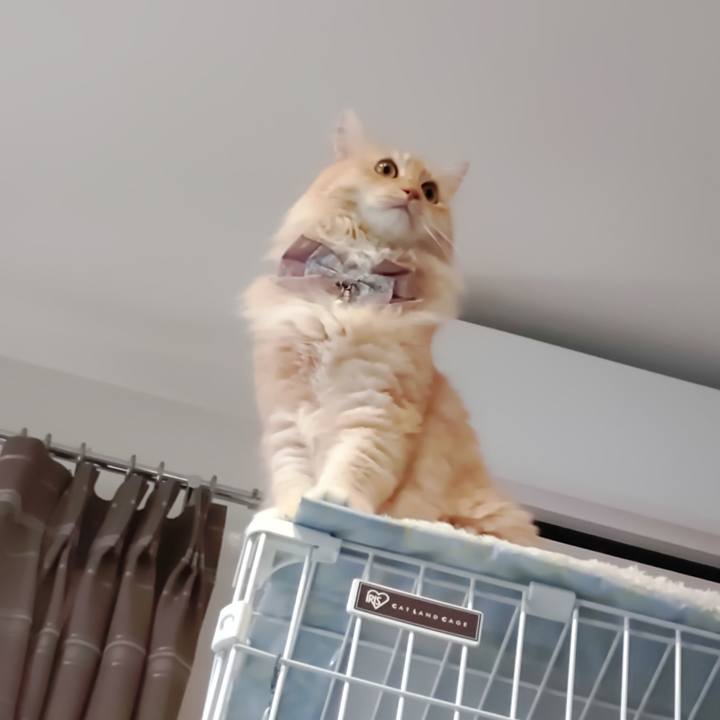 3bce9385 5d87 4f3c bb54 f372ccd1b5ed 1723618531119