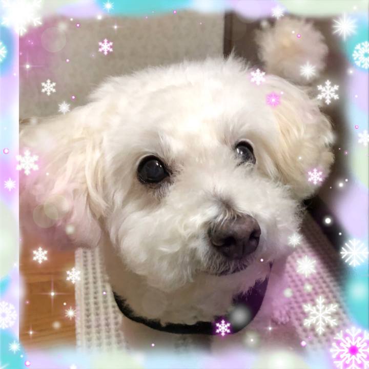 3bce97b6 b563 4a90 8edc 3ed4c5e53c4f 1544966065829