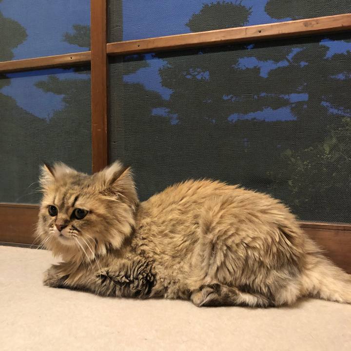 3bceada8 d245 41d6 bb8a d8706de908b0 1564741937210