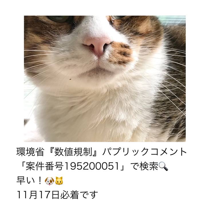 3bcec26b 1c96 45ba bd38 ab415f060889 1605049322276