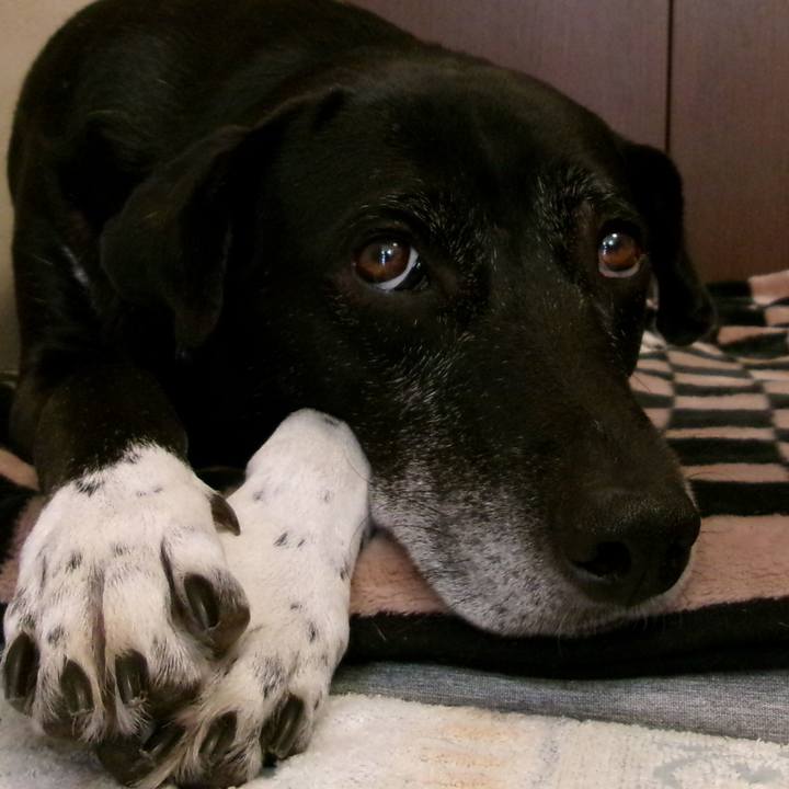 3bcede71 8eac 4dee b8e7 6762c385158f 1733484018290