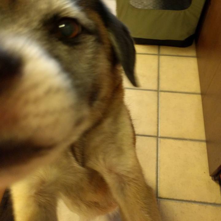 3bcf1b64 a071 450f be7b 345f87b6bc30 1685494260527