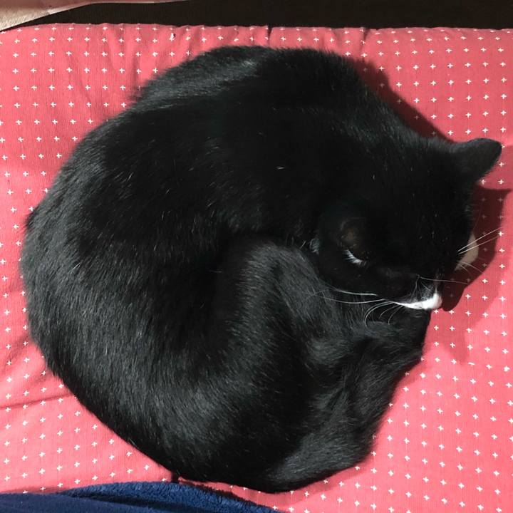 3bcf529d 88c6 470e ae81 d97f5661a344 1578369067746