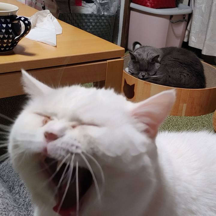 3bcf5936 9367 4413 a9c9 efff6098cca9 1648891216700