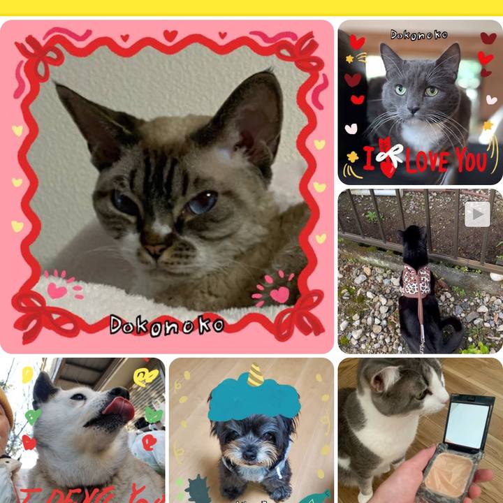 3bcf7b58 9a72 4cf0 a95e 652ae3e379f2 1706760090036