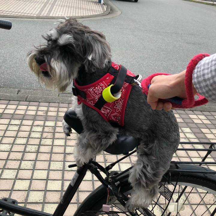 3bcf7cd8 94bd 4007 9c89 47a63af44e93 1526644552464