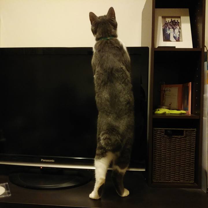 3bcf8d72 fcc9 40d6 ab65 007d165fa1df 1579962582608