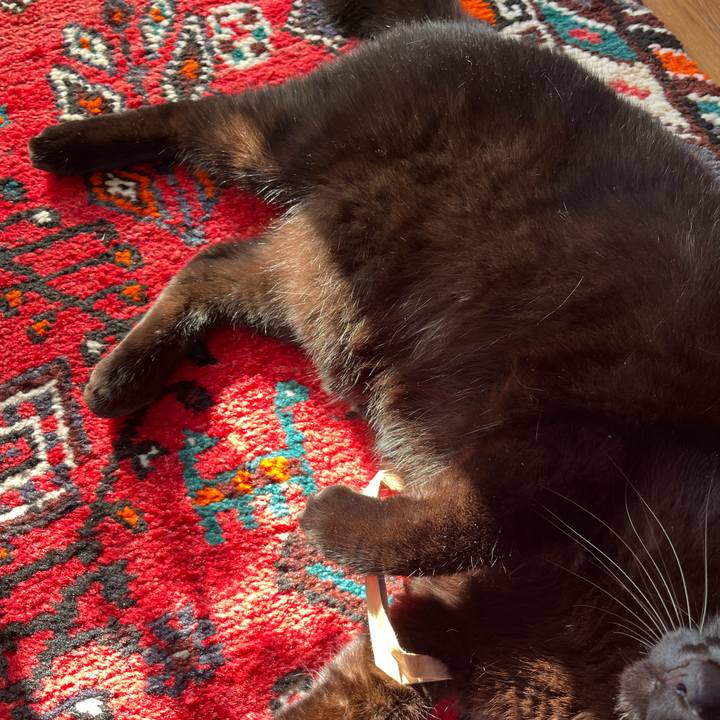 3bcfa3fe f484 4556 a2d8 4a50f8a5428e 1704679719464