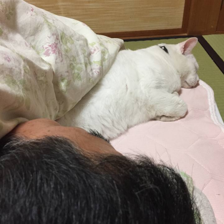 3bcfe5ac f1fe 4178 bc8d 711111366b26 1539186789273