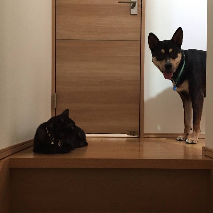 3bcfed1e 15d9 475a 8991 0cf300a50367 1533348098834