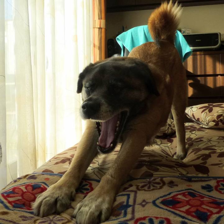 3bcff6cf dabf 46d1 af44 5bc90e2a68b5 1578620897037