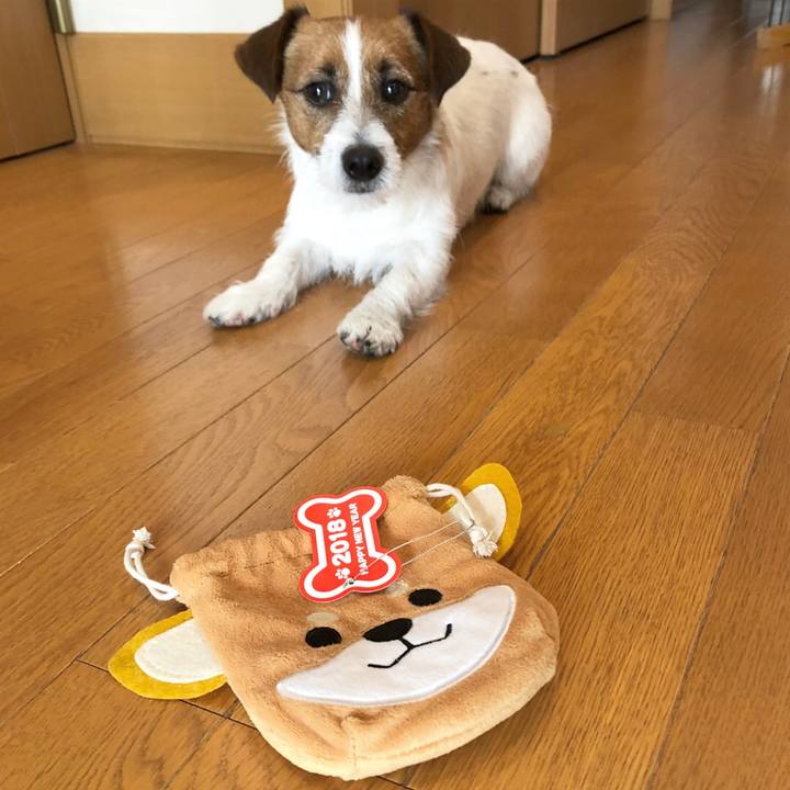 3bcfffdb d2f8 447d 9e73 5c0f9c07224a 1515069924033