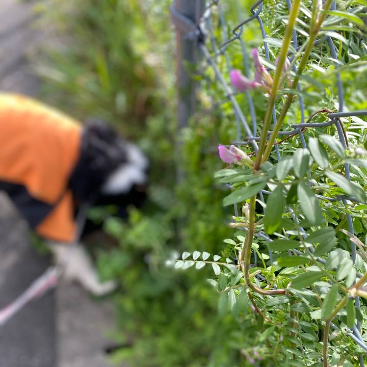 3bd049b0 41a5 4d14 b1b7 007dc1cfaff8 1614471618330