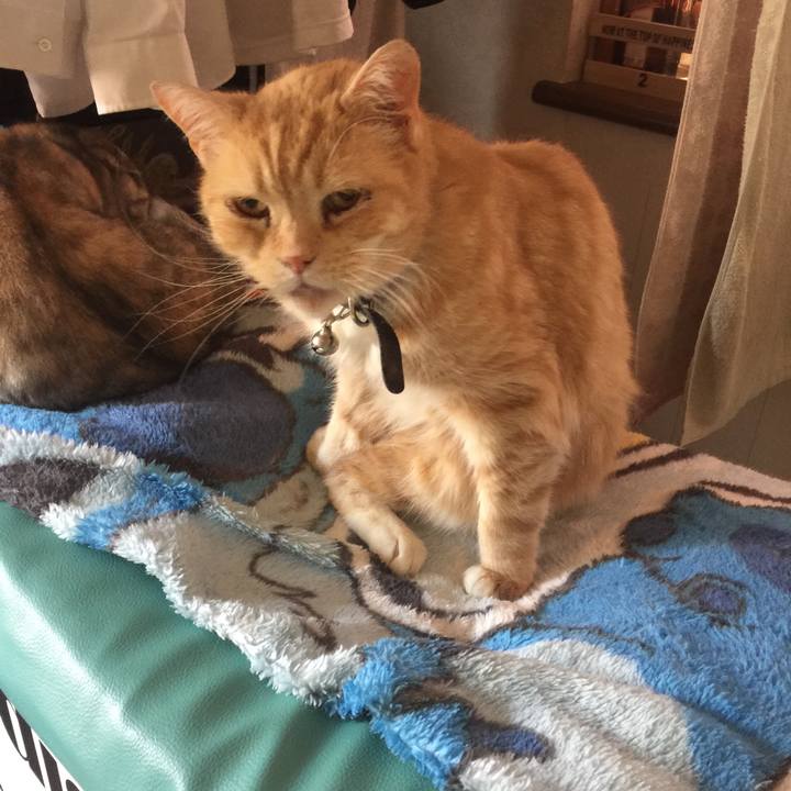 3bd0708d 09e5 43c0 bb04 45685b330656 1560389265805