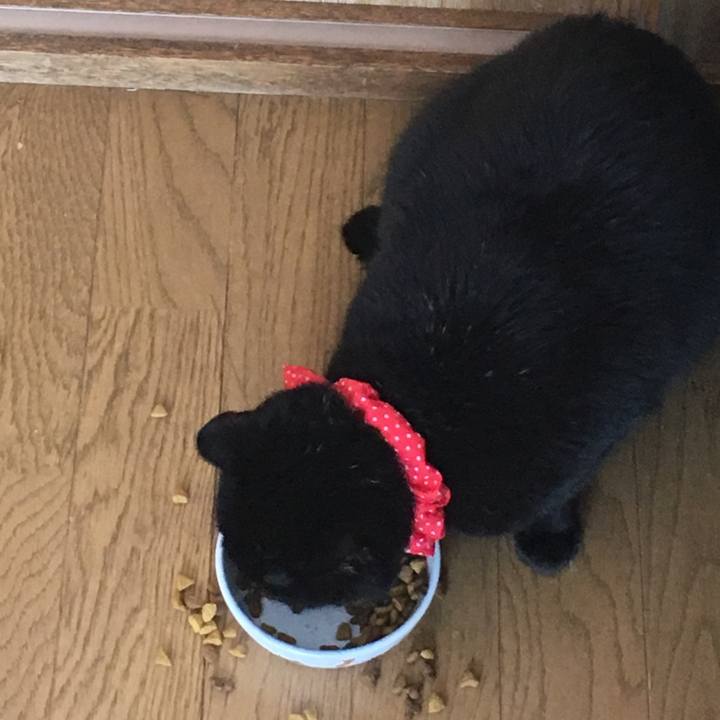 3bd07254 4972 4523 85af b72d471cfdaa 1545873126864