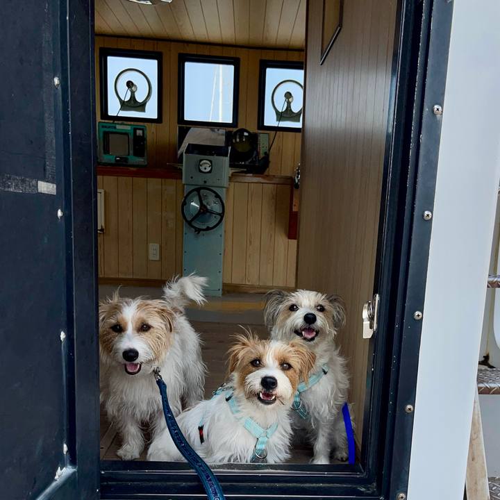 3bd0868e 92ba 41b3 bb4c 74e31697e5f1 1774781299645