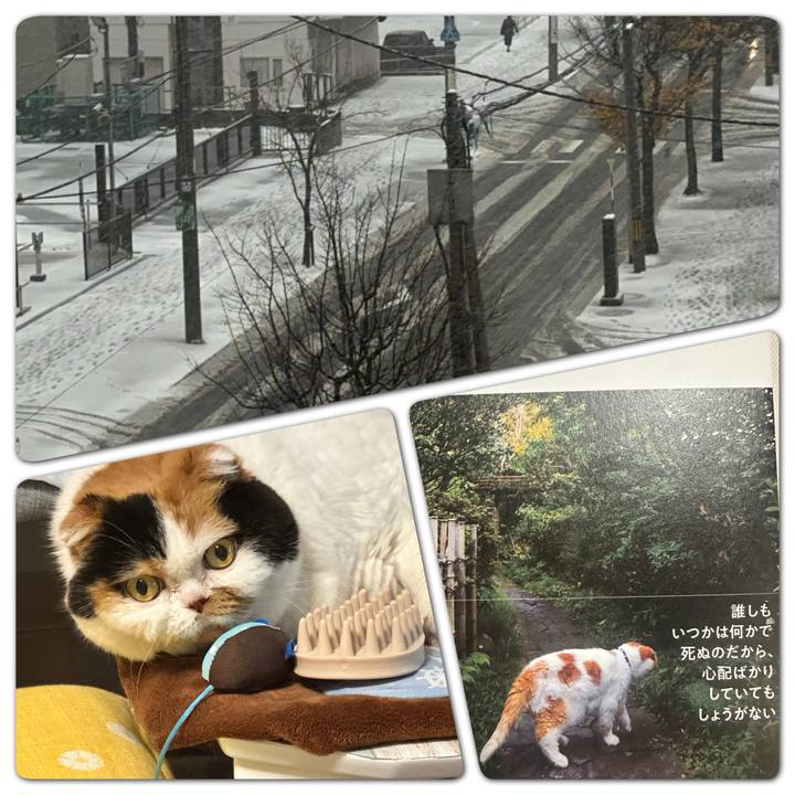 3bd0d8e2 95ed 4803 985d 1cc1b761a560 1730941064918