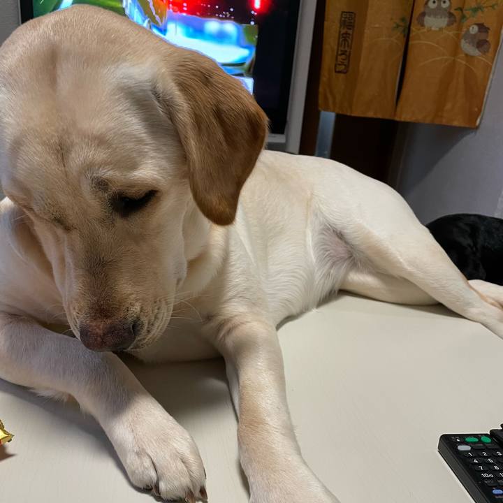 3bd14998 483b 4996 a3be 6a07e0a5981a 1645521429582