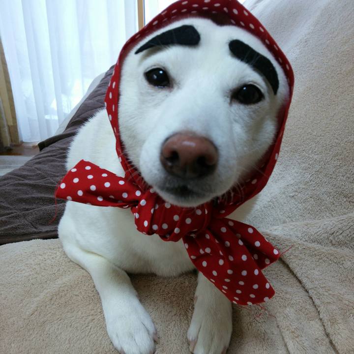 3bd168d2 853f 4ba6 b4c8 885ba96b0e74 1549849472524