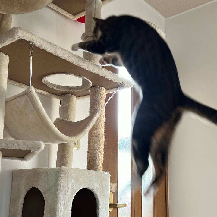 3bd169e7 9d6a 4d6c 93ff 90035365496b 1723111391727