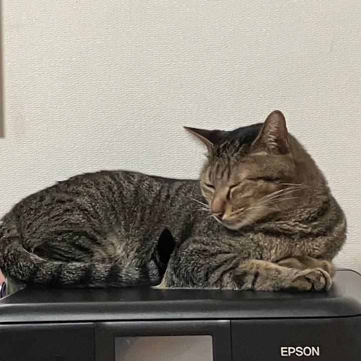 3bd18e14 d6c2 48cd ad56 9ba28e24095e 1759663082017