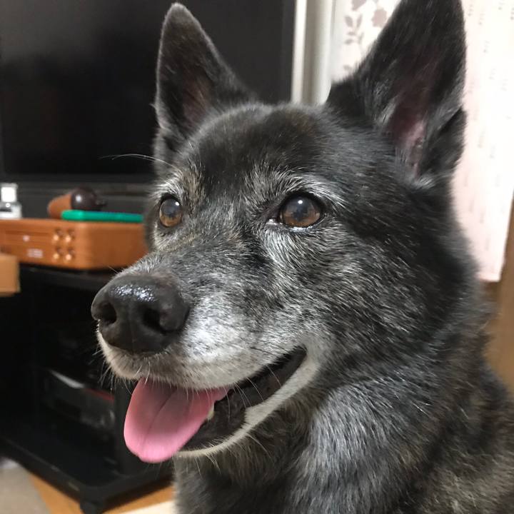 3bd196ad 9ae5 4aa4 a5b3 423b89356a46 1535118352982