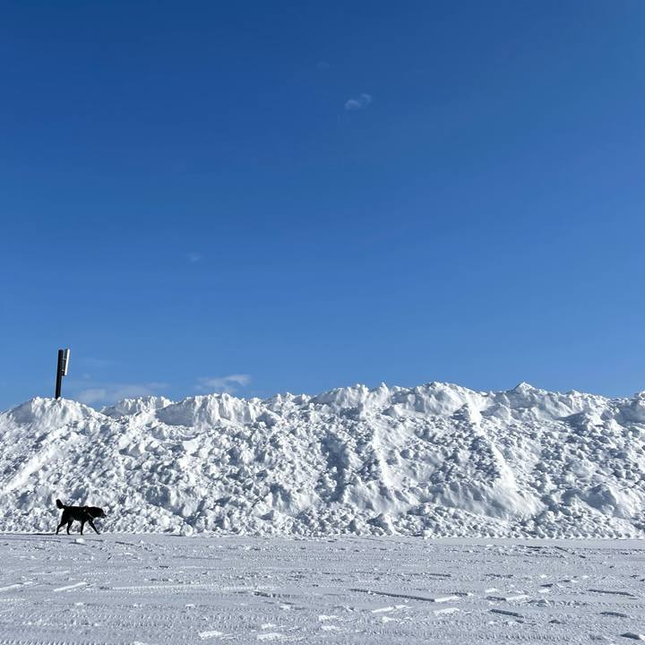 3bd1e52a 72a3 497c 8950 c54c9a11bf3f 1768554105755