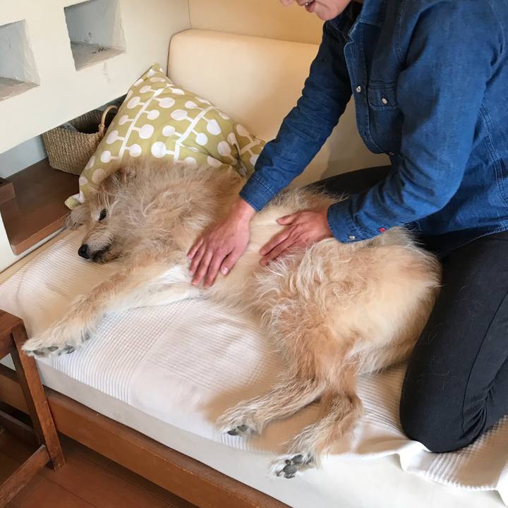 3bd1f0d3 f499 4e45 bc13 8921f5359525 1554043804352