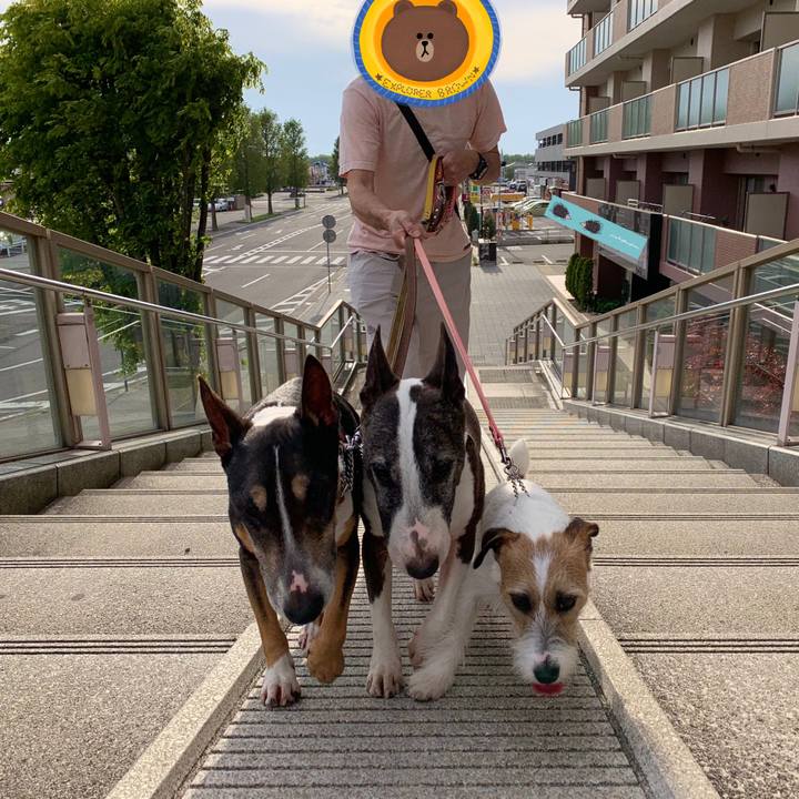 3bd21443 b415 4496 8823 e52c38943e0b 1588509699773