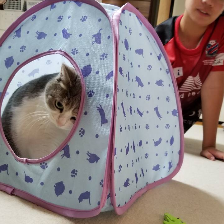 3bd21517 9017 4159 89a5 223fa340660e 1630072508780