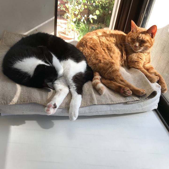 3bd21ea0 7eb5 4942 92ca 8f952bffbb89 1511929558563