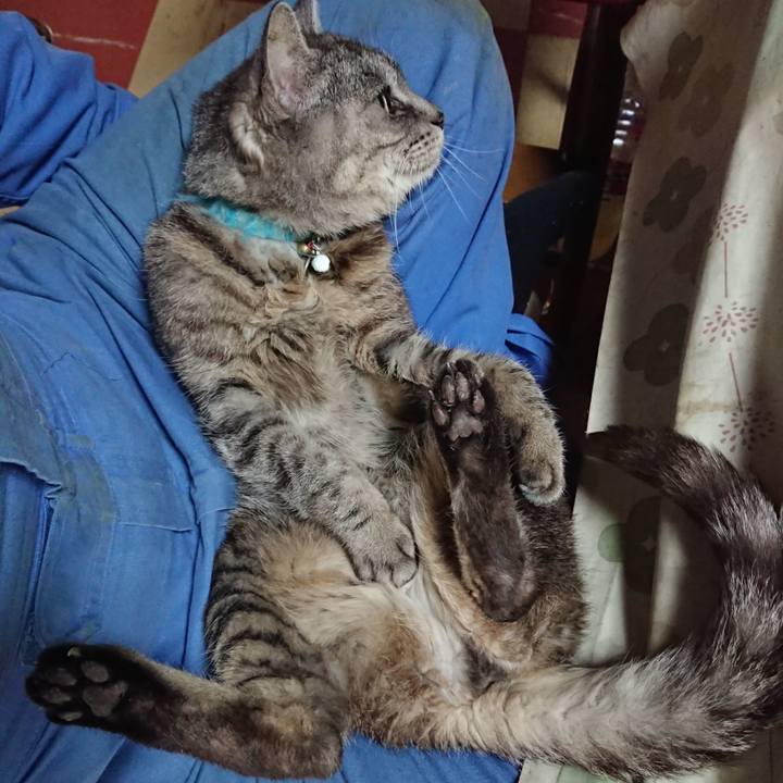 3bd2584a 8fa3 4e8b b1c2 7f05583a7059 1571453222814