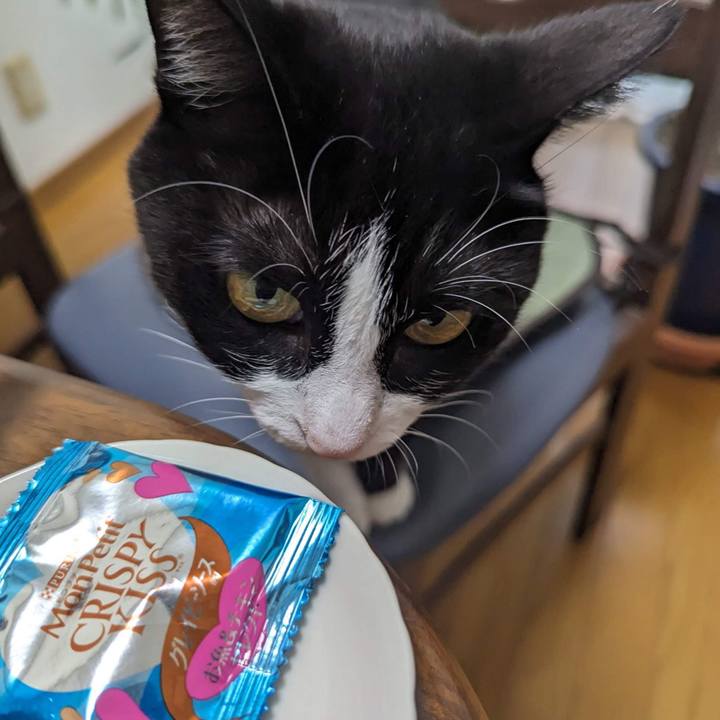 3bd2a363 c1e4 4ece 9a2f 6c6853f69163 1694845279430