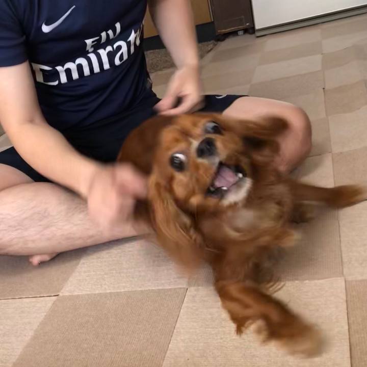 3bd2ddf7 db3b 4aa8 b105 f7380a1c84c4 1558044989645