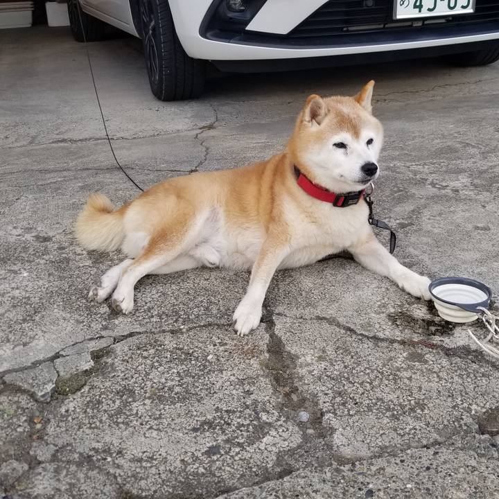 3bd32990 a32f 4364 8ab8 bca99f4ee1c0 1729923725959