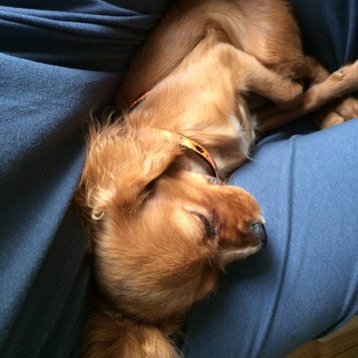 3bd39d37 3c3f 4984 bc4c 772099e31dcb 1524716679844