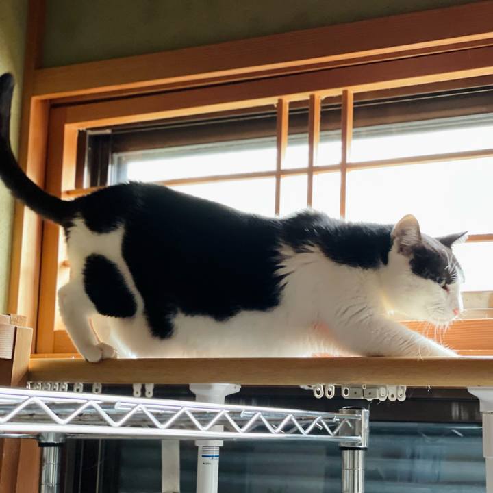 3bd428a4 a505 4328 b996 4c6c05d16137 1635388062318