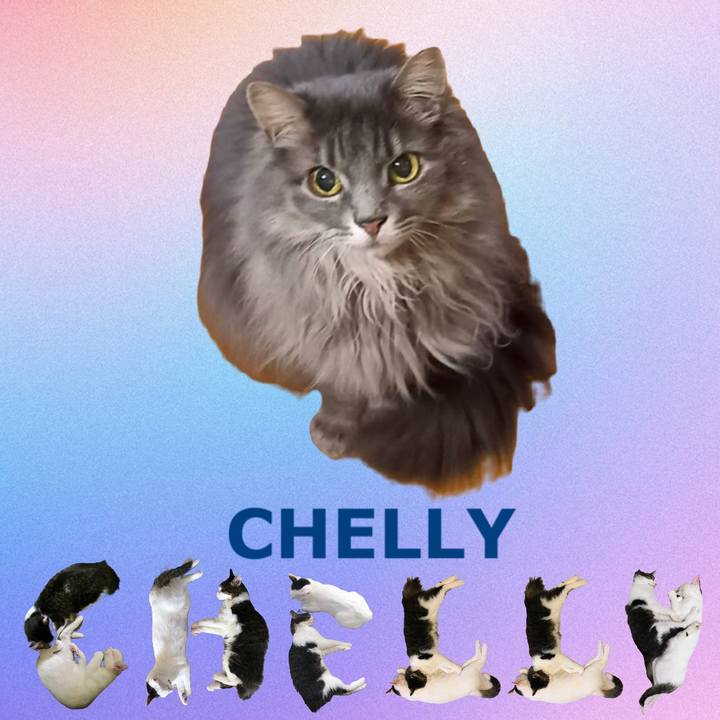 3bd42d8e f514 4a92 8e07 e30a51d04f3f 1668518959526