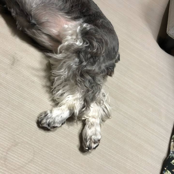 3bd43b36 aac3 4ddb 9003 018529babc55 1629861313628