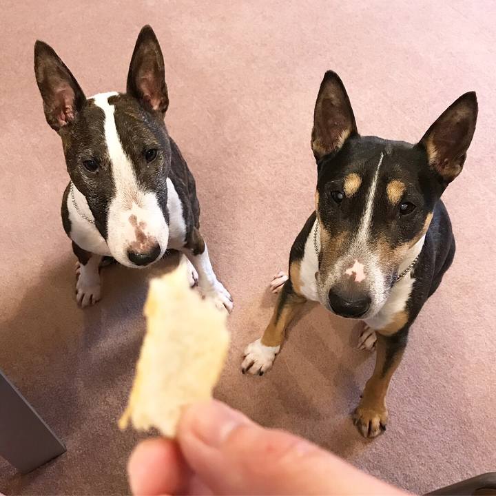 3bd45f0f bf1b 409c b820 690d166fd803 1518425593918