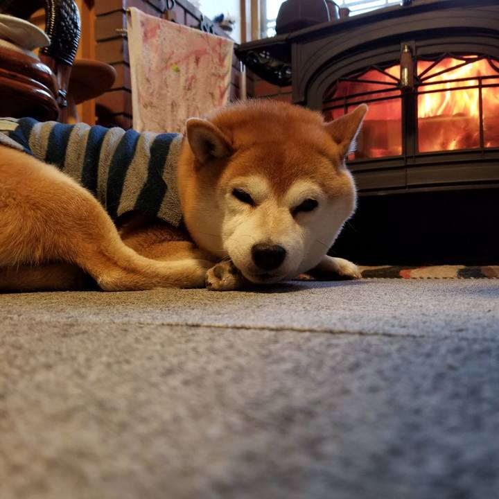 3bd4a6e0 fbda 4f72 8d2c 27b56ef4415f 1575672483551