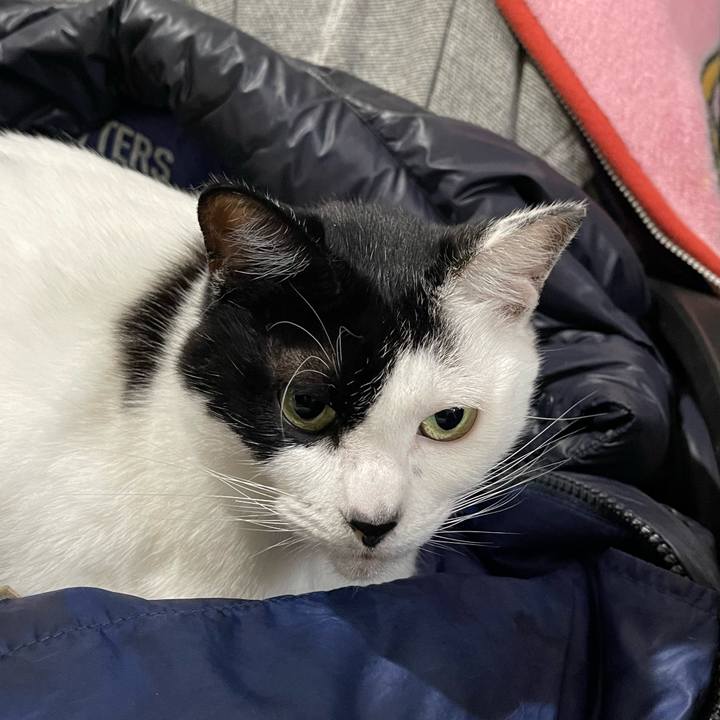 3bd4a8dd e0e7 44a1 aef2 e99fd5619884 1762660702045