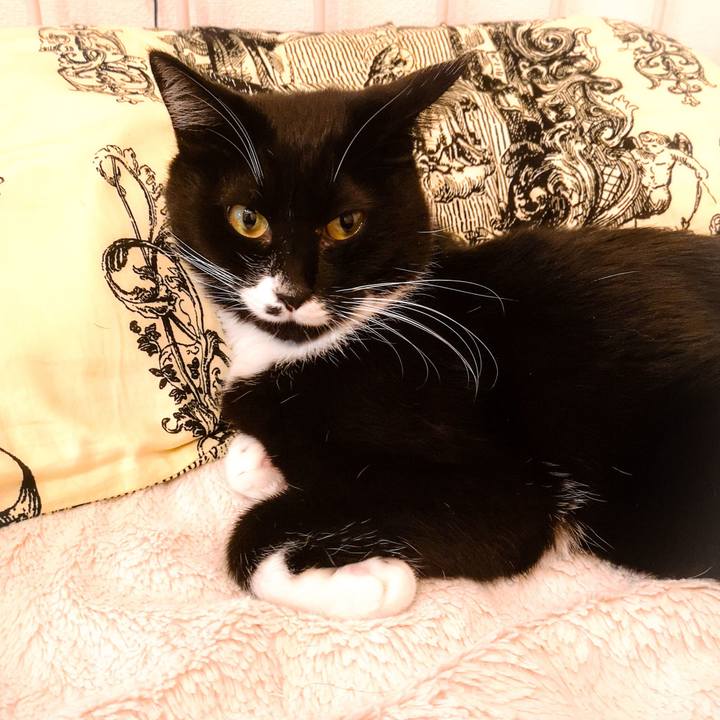 3bd4a94e 35f6 4d4a a466 2bcf965a57e0 1543328897696