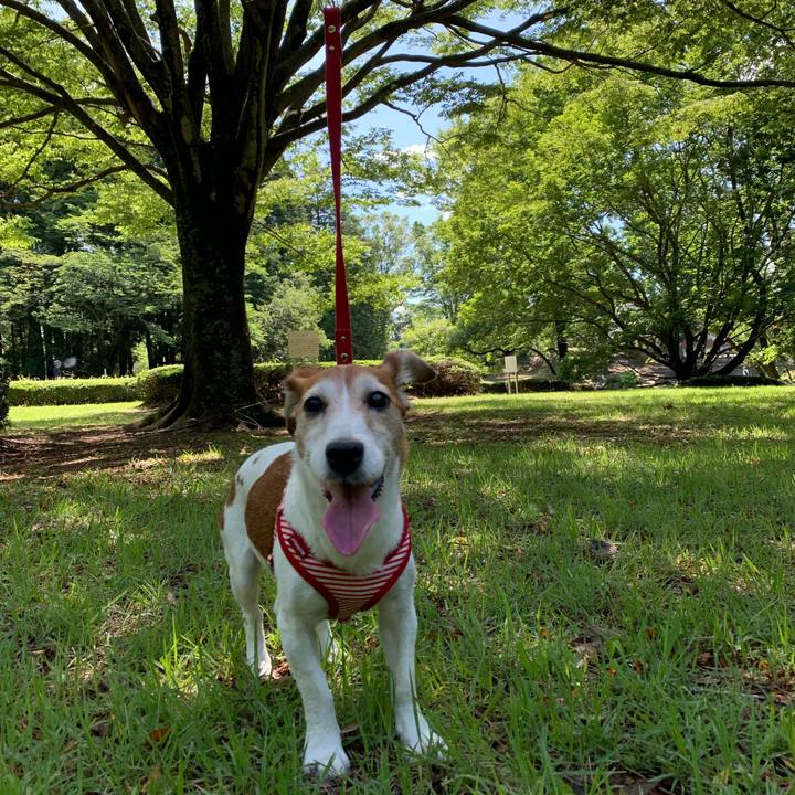 3bd4c30c 7ee3 4d31 94b8 2295cd98141f 1561564837803