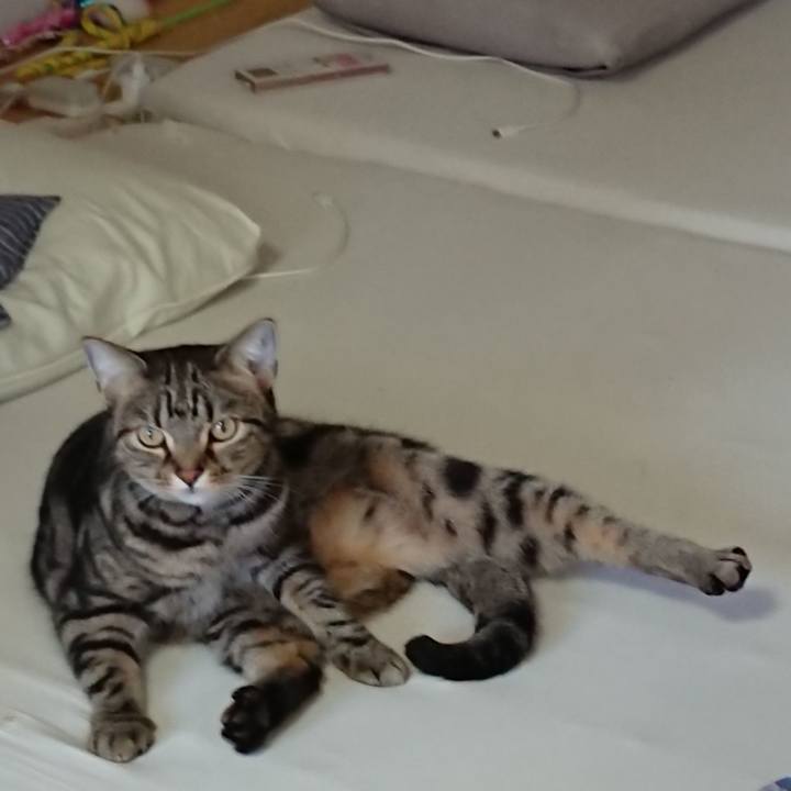 3bd50d7d 2146 4189 9dd7 49dee15774cb 1581124734493