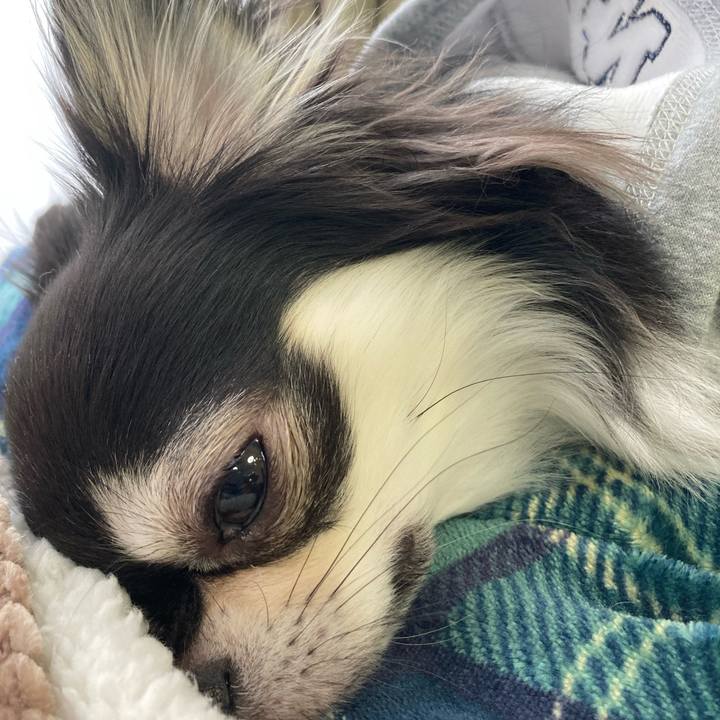 3bd50fd6 f6f6 4d39 a652 820548ce77ee 1645242622655