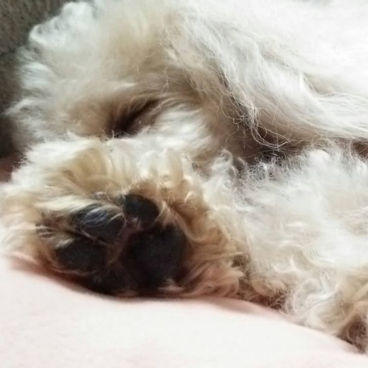 3bd552ef 9e85 4120 ad03 7bc0228e069b 1524472941506